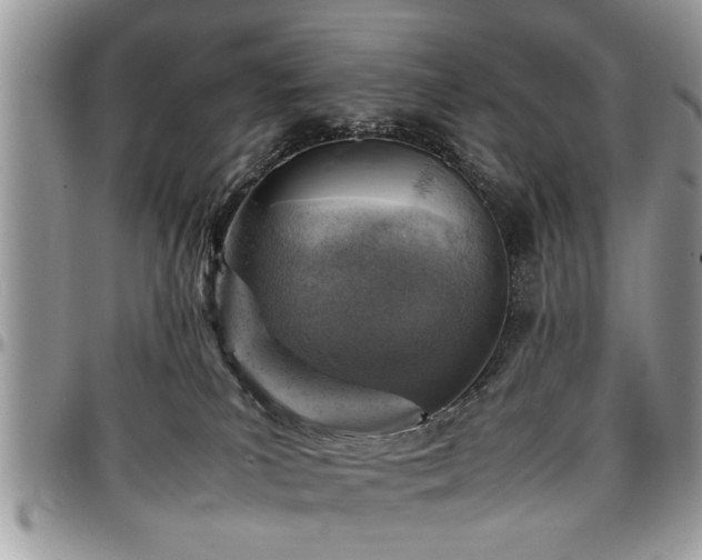 X0000096940039200802151224