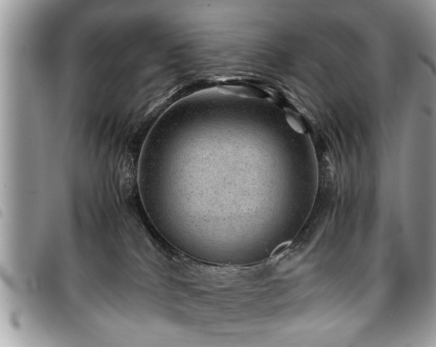 X0000096940040200802151224