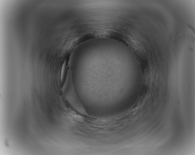 X0000096940041200802151224