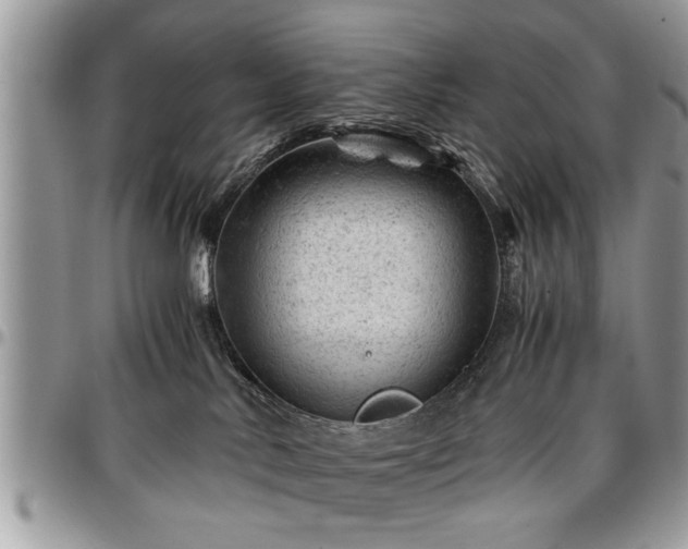 X0000096940042200802151224