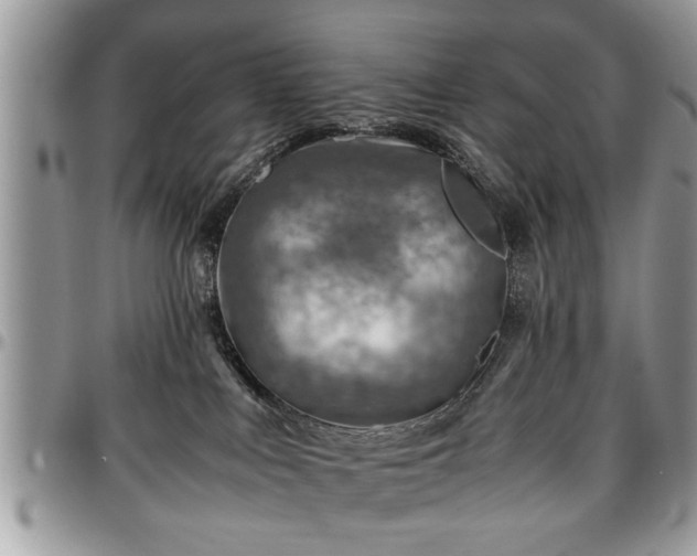 X0000096940043200802151224