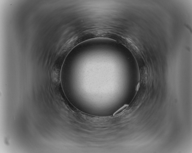 X0000096940044200802151224