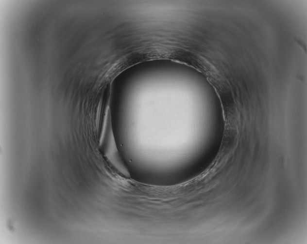 X0000096940045200802151224