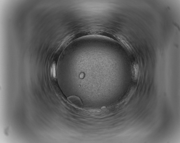 X0000096940046200802151224