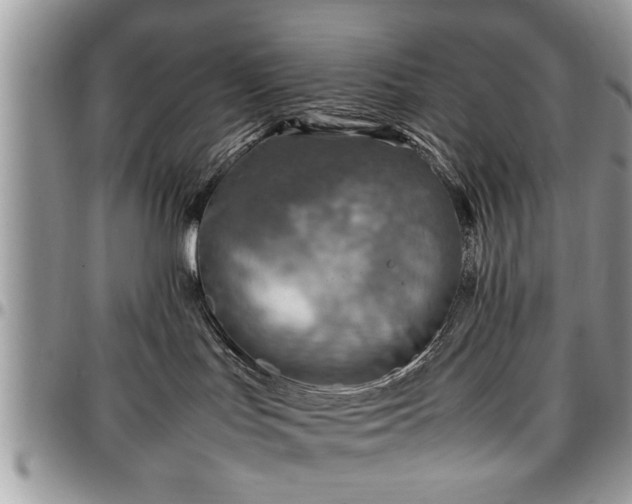 X0000096940047200802151224