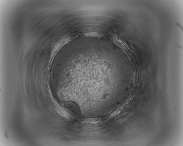 X0000096940049200802151224