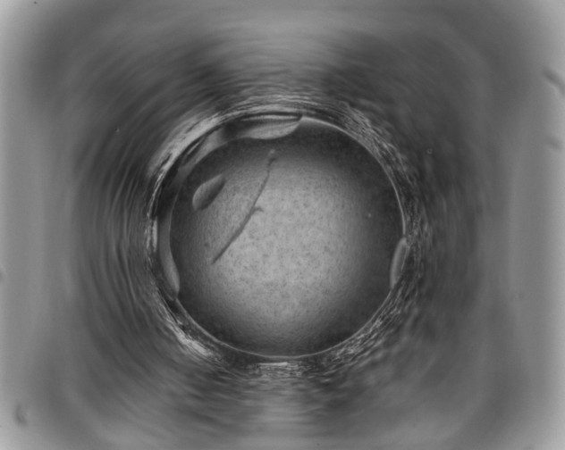 X0000096940050200802151224