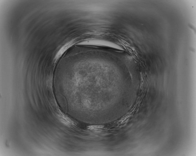 X0000096940051200802151224