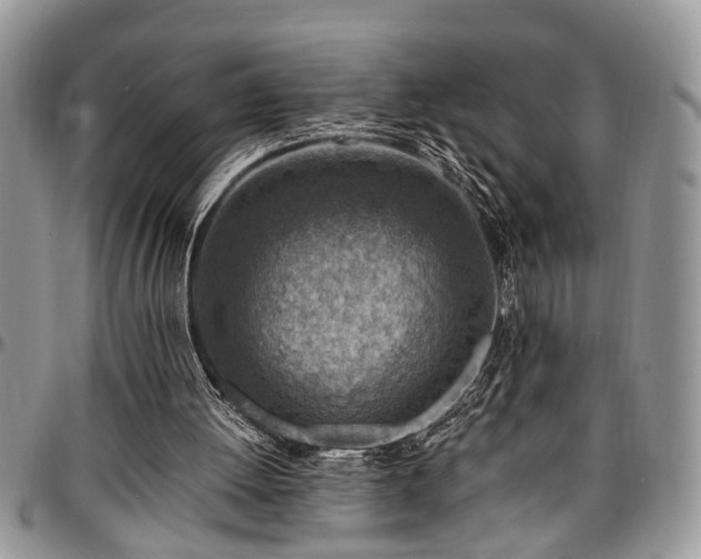 X0000096940052200802151224