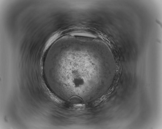 X0000096940053200802151224