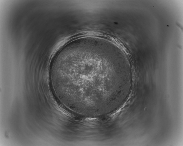 X0000096940055200802151224