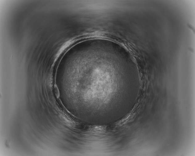 X0000096940056200802151224