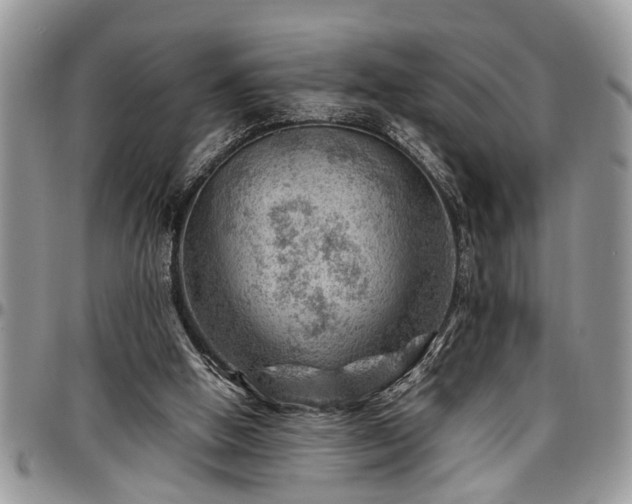 X0000096940058200802151224