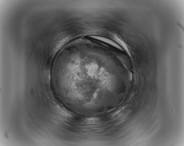 X0000096940059200802151224