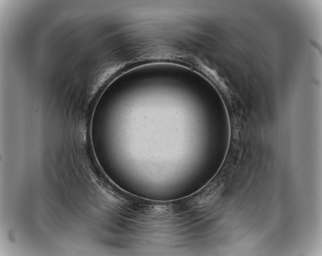 X0000096940060200802151224