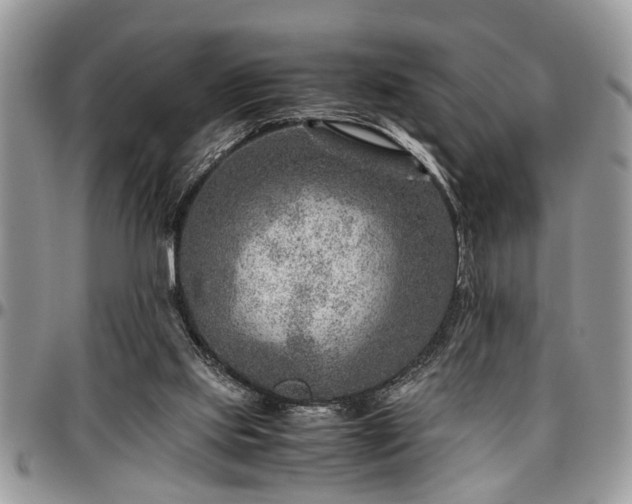 X0000096940061200802151224