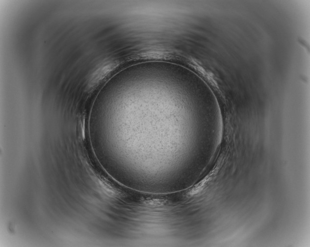 X0000096940062200802151224