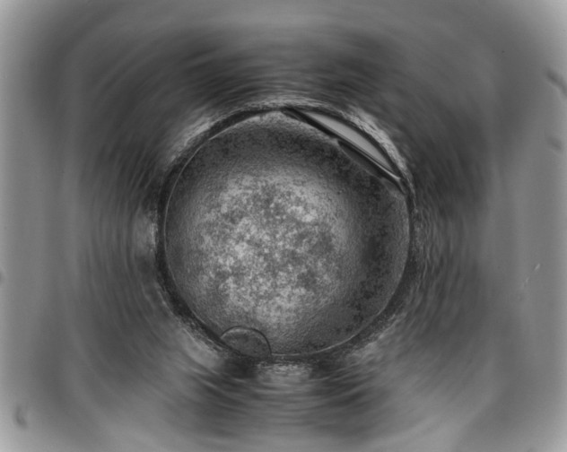 X0000096940063200802151224