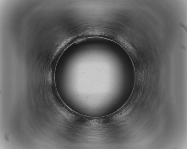 X0000096940064200802151224