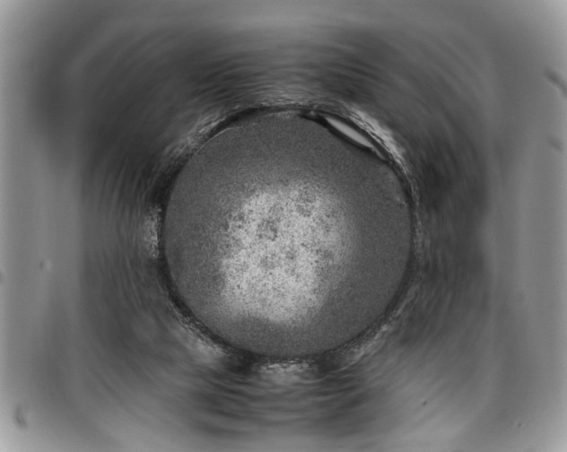 X0000096940065200802151224