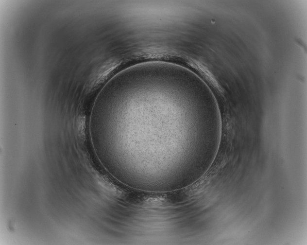 X0000096940066200802151224