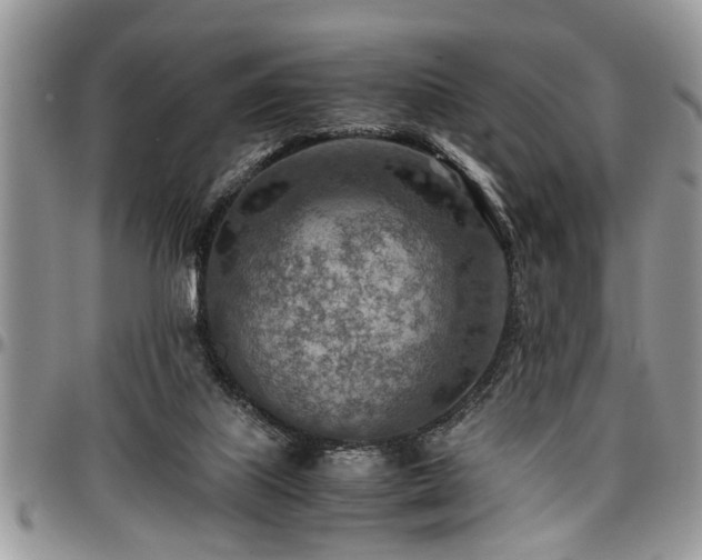 X0000096940067200802151224