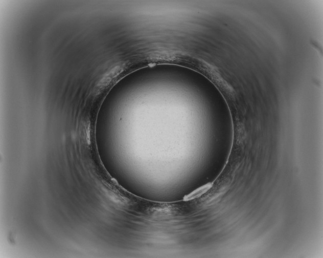 X0000096940068200802151224