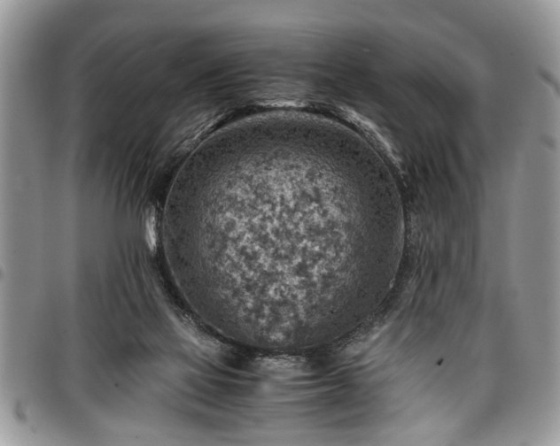 X0000096940069200802151224