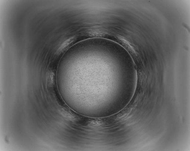 X0000096940071200802151224