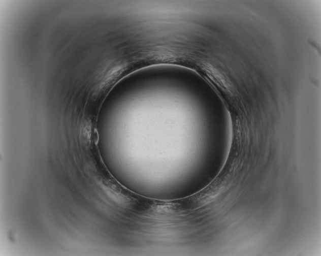 X0000096940072200802151224