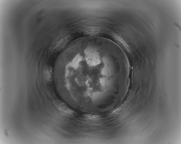 X0000096940073200802151224