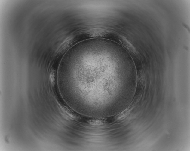 X0000096940074200802151224