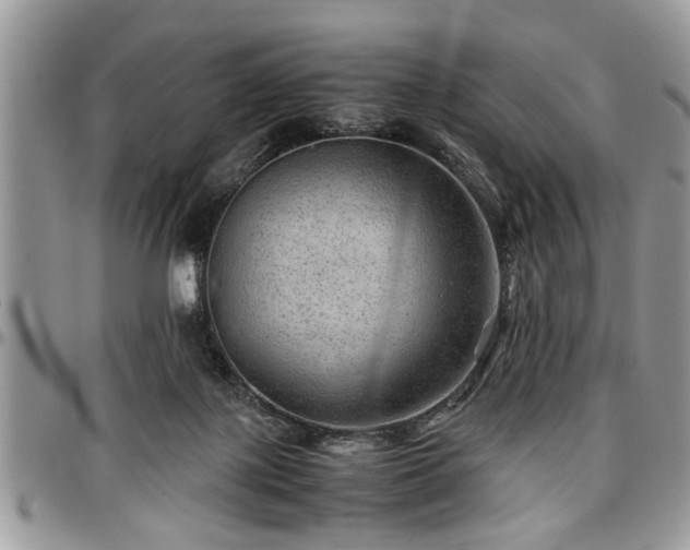 X0000096940075200802151224