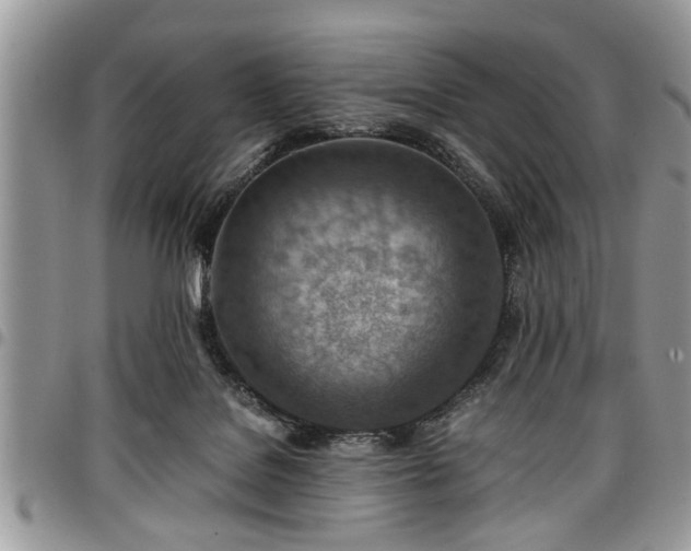 X0000096940076200802151224