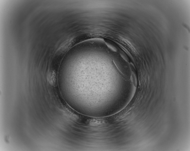 X0000096940077200802151224