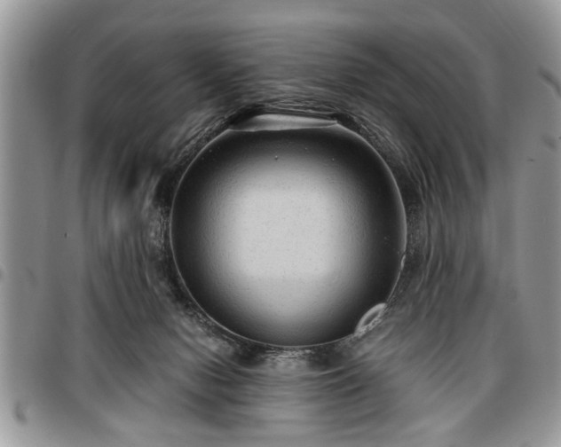 X0000096940078200802151224