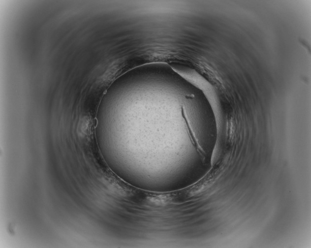 X0000096940079200802151224