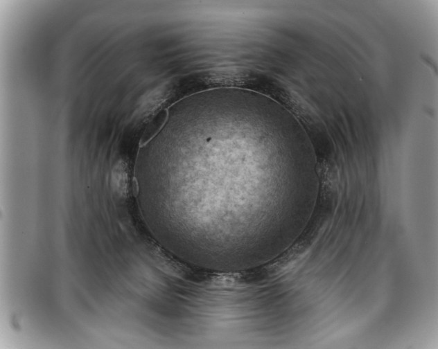 X0000096940080200802151224