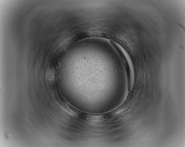 X0000096940081200802151224