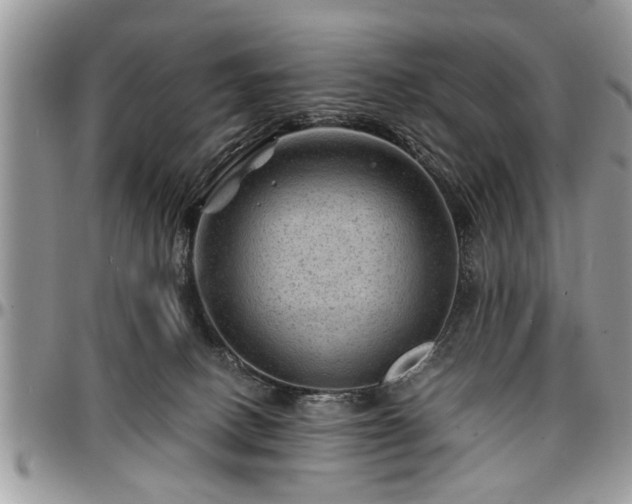 X0000096940082200802151224