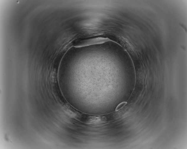 X0000096940083200802151224