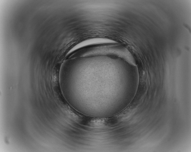 X0000096940084200802151224