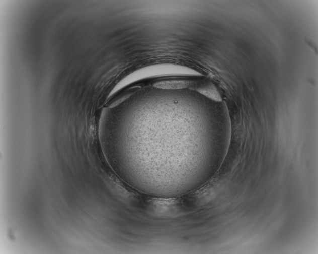 X0000096940085200802151224