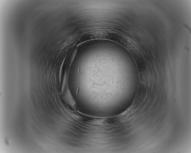 X0000096940086200802151224