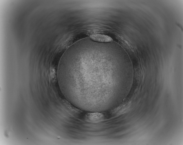 X0000096940087200802151224