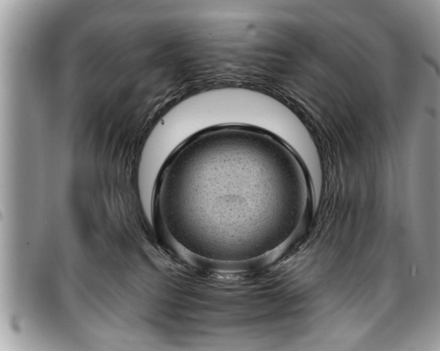 X0000096940088200802151224