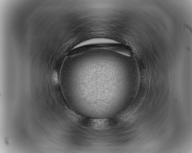 X0000096940089200802151224