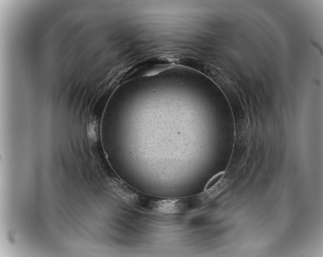 X0000096940090200802151224