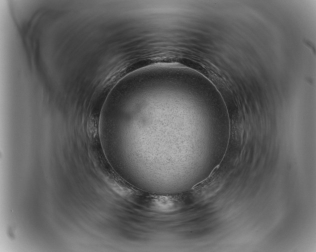 X0000096940091200802151224