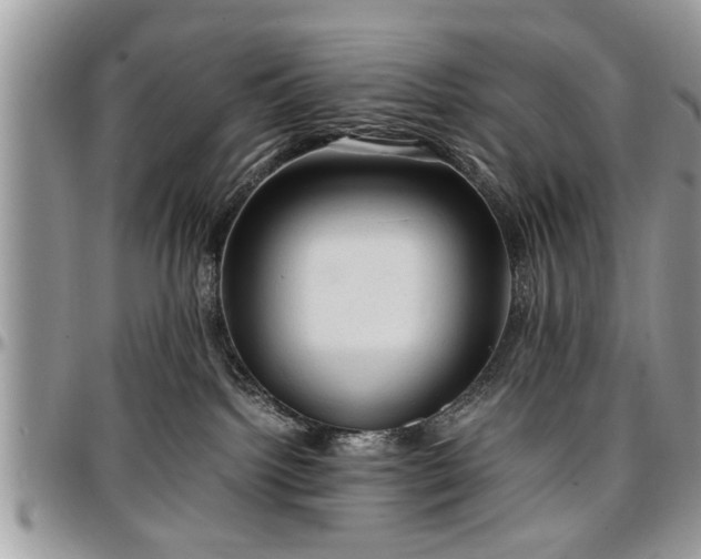 X0000096940092200802151224